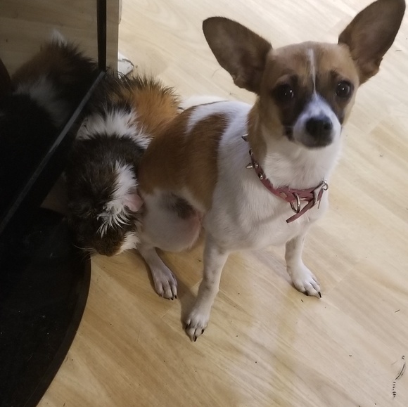 Meet your Posher, Jennifer - Picture 7 of 8